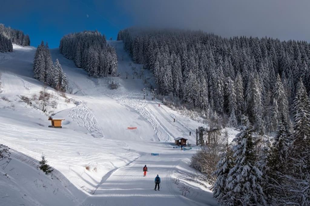 Le Snow Roc: Ski-In Studio with Panoramic Terrace and Sauna Saint-Jean-d'Aulps Exterior photo
