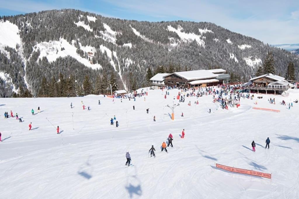 Le Snow Roc: Ski-In Studio with Panoramic Terrace and Sauna Saint-Jean-d'Aulps Exterior photo
